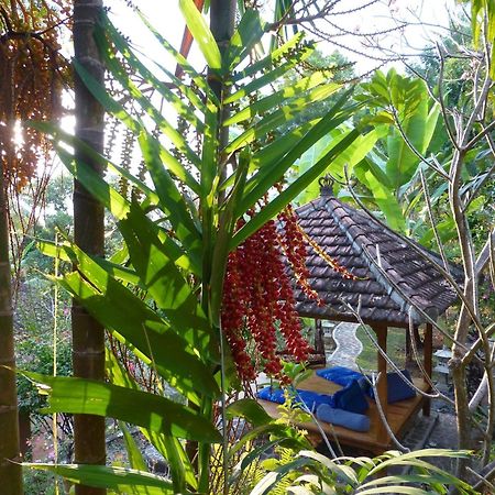 Sananda Bungalow لوفينا المظهر الخارجي الصورة