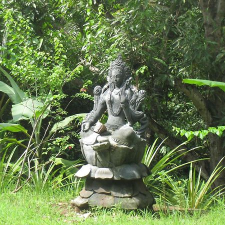 Sananda Bungalow لوفينا المظهر الخارجي الصورة