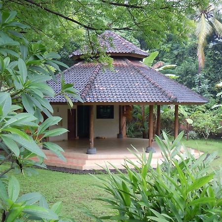 Sananda Bungalow لوفينا المظهر الخارجي الصورة