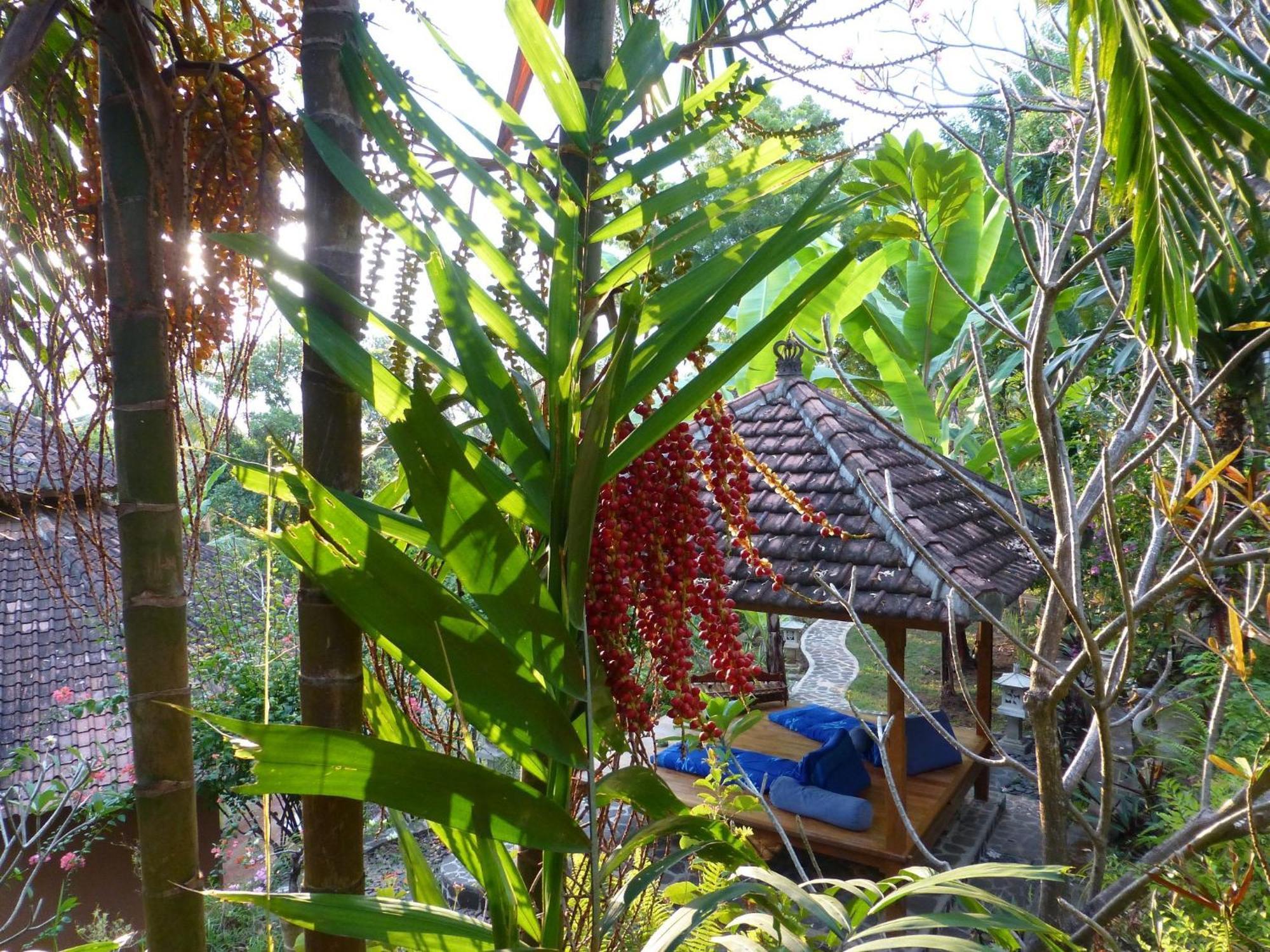 Sananda Bungalow لوفينا المظهر الخارجي الصورة
