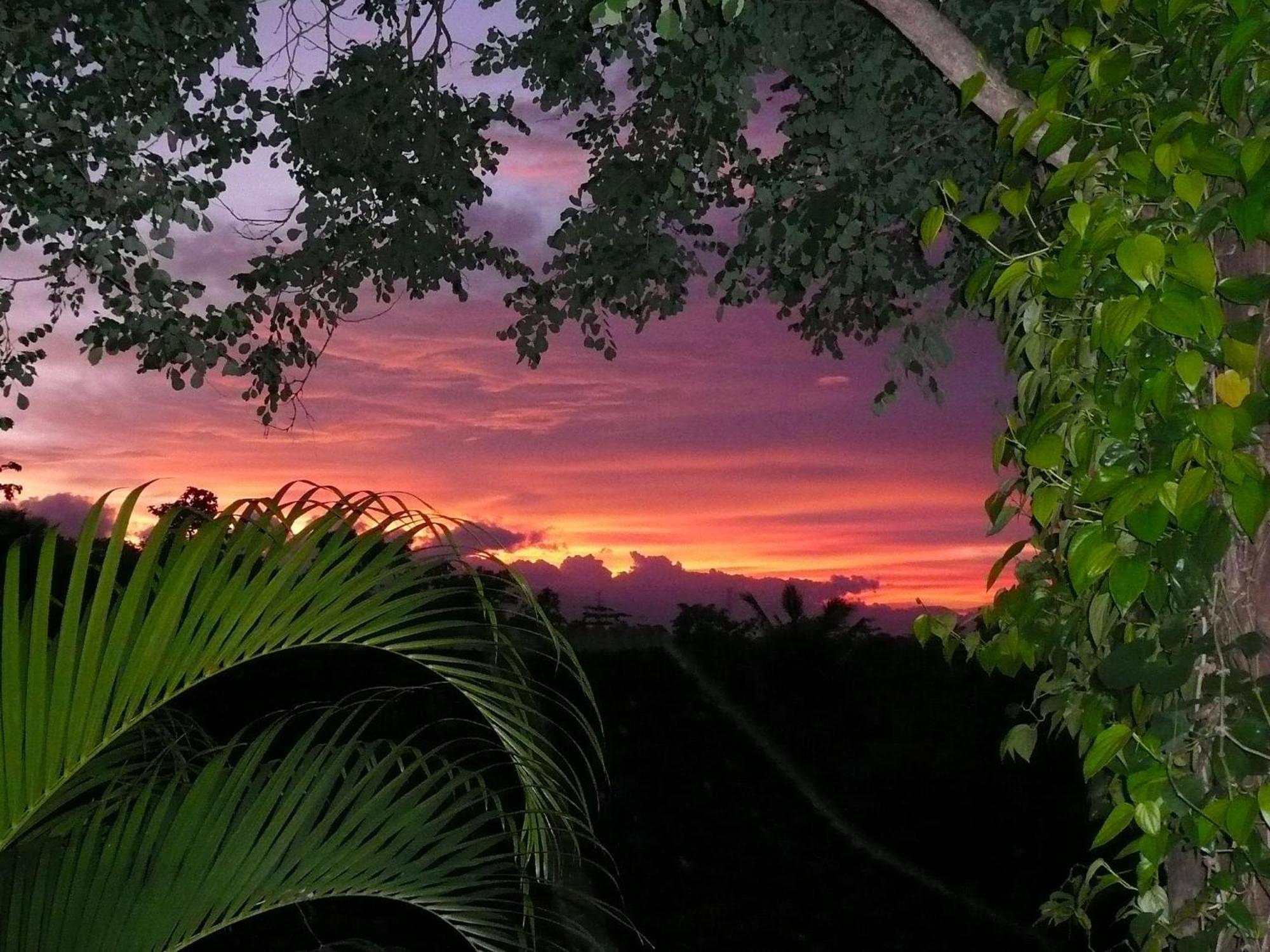 Sananda Bungalow لوفينا المظهر الخارجي الصورة