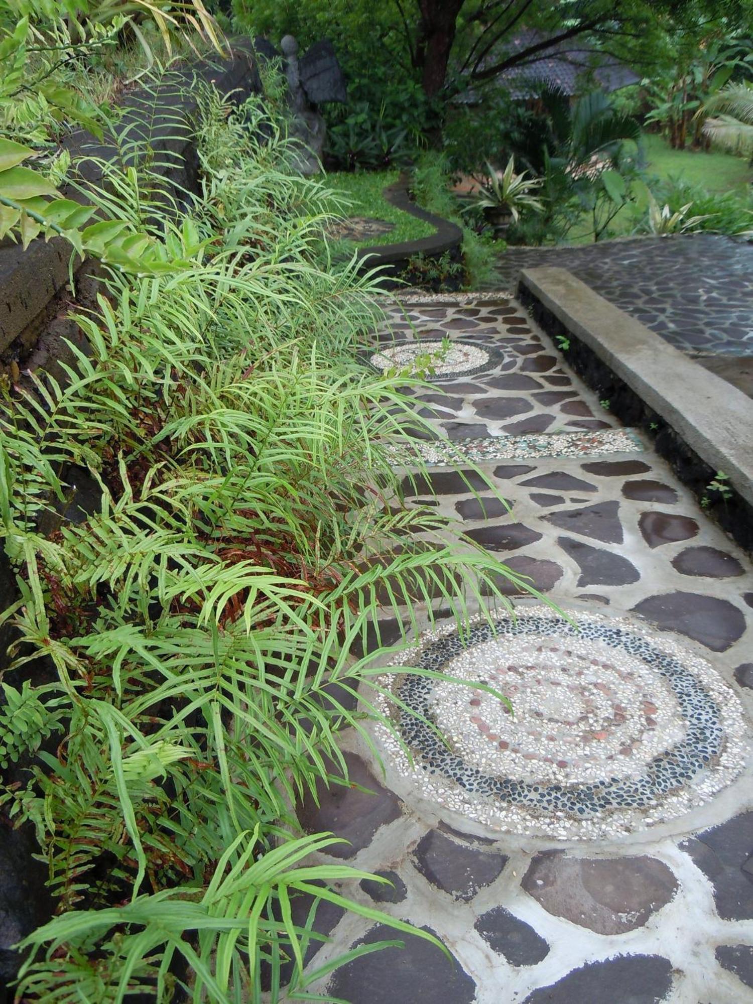 Sananda Bungalow لوفينا المظهر الخارجي الصورة