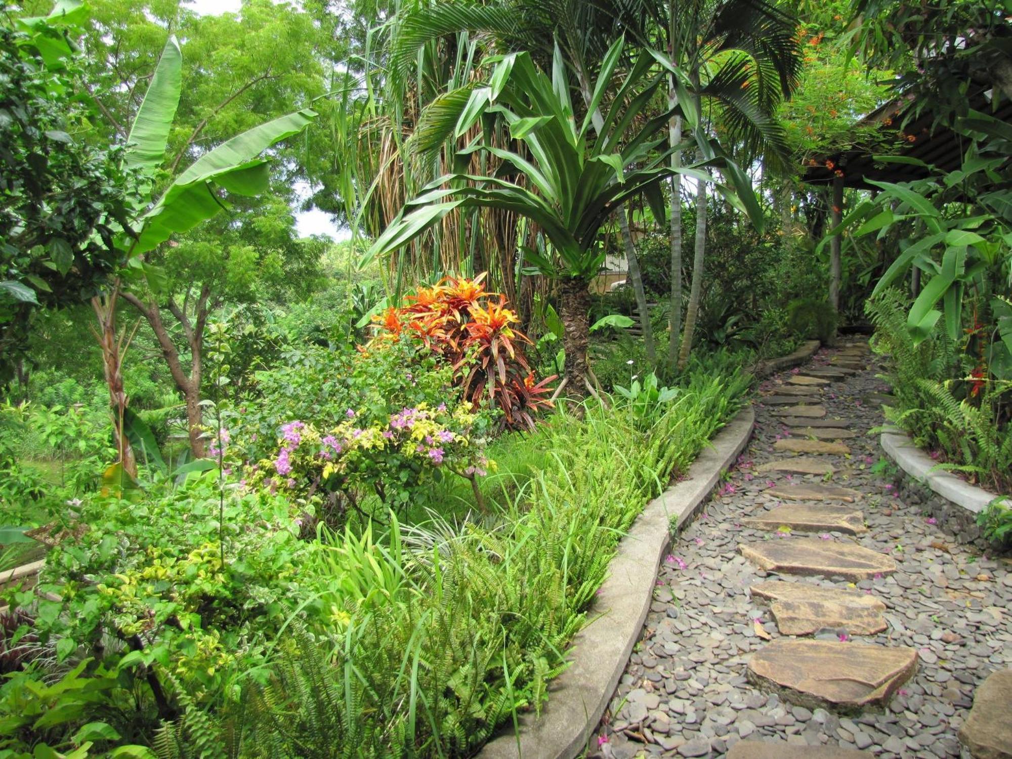 Sananda Bungalow لوفينا المظهر الخارجي الصورة