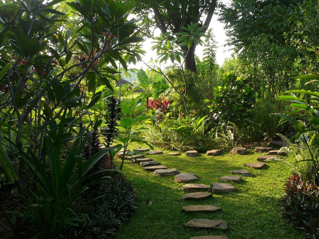 Sananda Bungalow لوفينا المظهر الخارجي الصورة