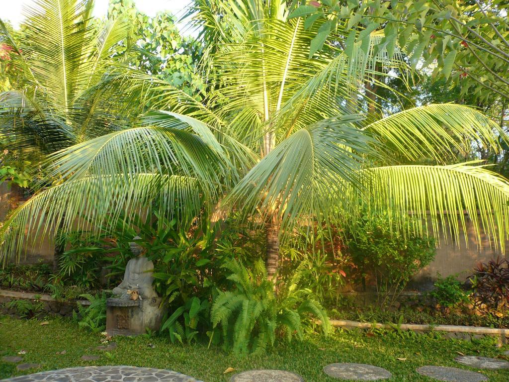 Sananda Bungalow لوفينا المظهر الخارجي الصورة